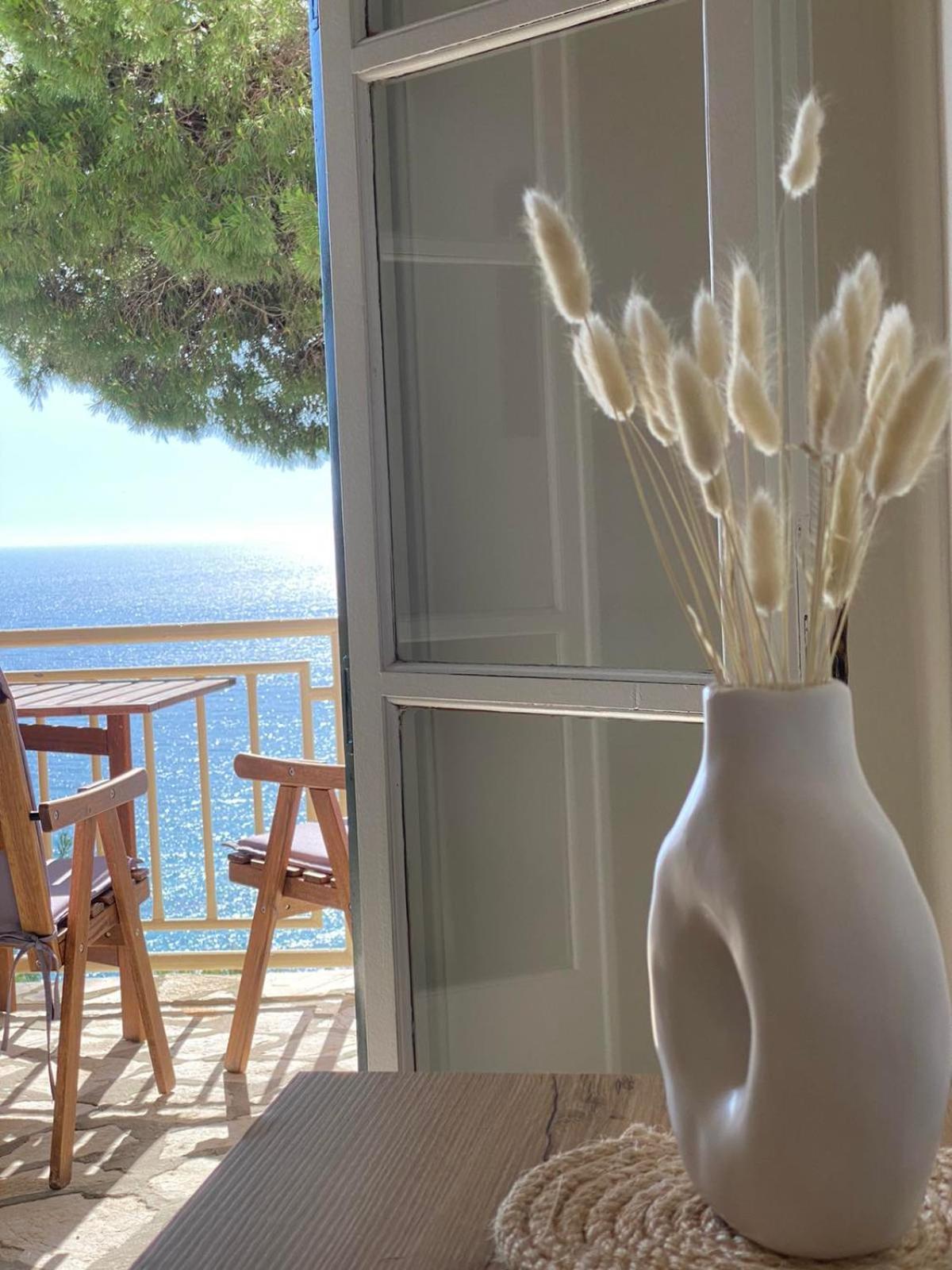 Vicky's Panoramic View * Πέλεκας