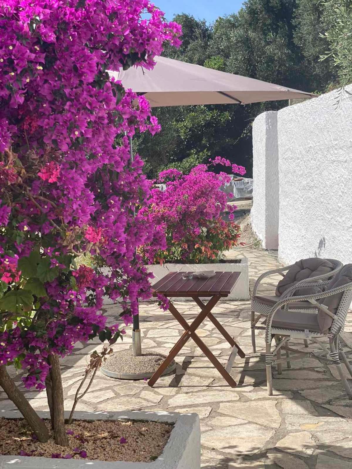 Διαμέρισμα Vicky's Panoramic View