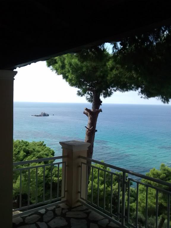 Vicky's Panoramic View Διαμέρισμα Πέλεκας